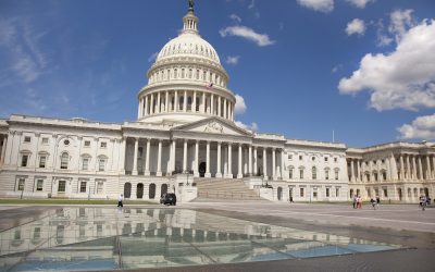 Government Loans for Small Businesses